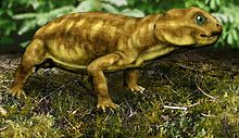 Myosaurus, an Emydopid