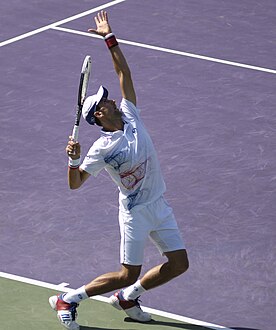 Novak Djokovic, 2012