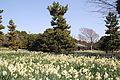 葛西臨海公園 Kasai Rinkai Park