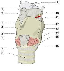 Ilustracja