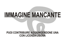 Immagine di Marmornectes candrewi mancante