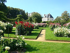 La roseraie du parc du Thabor.