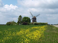 Le moulin à vent.