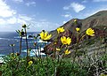 Costa de Ensenada, Baja California, México, durante la primavera