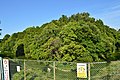 藤井寺市 野中ボケ山古墳（122m）