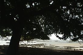 Spiaggia sull'atlantico Bofanet-Guinea