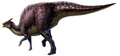 Saurolophus osborni