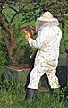 Beekeeper