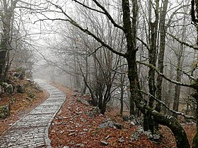 Μονοπάτι που οδηγεί στη χαράδρα του Βίκου.