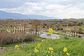 Türkei: antike griechisch-römische Stadt Aphrodisias