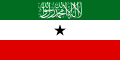 Drapeau du Somaliland X