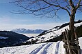 Nebel im Rheintal, Blick auf das Alpsteingebirge