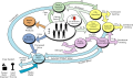 Environmental Control & Life Support System (ECLSS) Flow Diagram