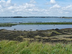 Ostréiculture sur l'île d'Arz.