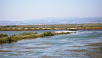 Evros-deltaet