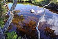 Un "gour", endroit propice à la pêche à la truite.