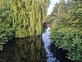 image=https://commons.wikimedia.org/wiki/File:Mittelkanal (Lühe).jpg