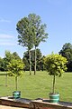 Fürst-Pückler-Park Bad Muskau in der Oberlausitz (Deutschland/Polen)