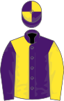 PURPLE and YELLOW HALVED, sleeves reversed, quartered cap