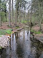 Die Twillbäke oberhalb der Bullmühle