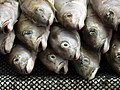 Photo taken at Ensenada´s Fish Market (Mercado Negro), Baja California, México / Foto tomada en el Mercado Negro de Ensenada, Baja California, México