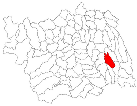 Location in Bacău County