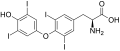 Thyroxin (Tetraiodthyronin, T4)