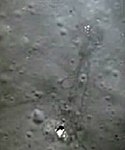 Apollo 15 landing site (by LRO)