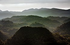 Humid subtropical climate in Intervales State Park, São Paulo.