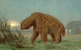 Megatherium