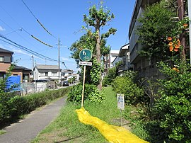 岡崎市立広幡小学校へ至る緑道。 1981年に開設された[1]。