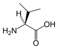 L-Valin (Val / V)