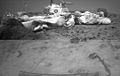 One of the two forward cameras aboard the Sojourner rover took this image of the Sagan Memorial Station on Sol 26. The angular resolution of the camera is about three milliradians (.018 degrees) per pixel, which is why the image appears grainy. The field of view of each rover camera is about 127 degrees horizontally and 90 degrees vertically. Features seen on the lander include (from left to right): the Atmospheric Structure Instrument/Meteorology Package (ASI/MET) mast with windsocks; the low-gain antenna mast, the Imager for Mars Pathfinder (IMP) on its mast at center; the disc-shaped high-gain antenna at right, and areas of deflated airbags. The dark circle on the lander body is a filtered vent that allowed air to escape during launch, and allowed the lander to repressurize upon landing. The high-gain antenna is pointed at Earth. The large rock Yogi, which Sojourner has approached and studied, as at the far right of the image. Mini Matterhorn is the large rock situated in front of the lander at left. The horizontal line at the center of the image is due to differences in light-metering for different portions of the image. The shadow of Sojourner and its antenna are visible at the lower section of the image. The antenna's shadow falls across a light-colored rock. Mars Pathfinder is the second in NASA's Discovery program of low-cost spacecraft with highly focused science goals. The Jet Propulsion Laboratory, Pasadena, CA, developed and manages and Mars Pathfinder mission for NASA's Office of Space Science, Washington, D.C. JPL is an operating division of the California Institute of Technology (Caltech). The Imager for Mars Pathfinder (IMP) was developed by the University of Arizona Lunar and Planetary Laboratory under contract to JPL. Peter Smith is the Principal Investigator.