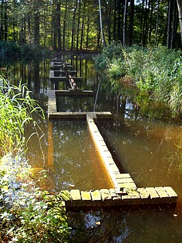 Restant waterloopkundig model in het Waterloopbos