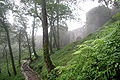 main road To Rudkhan Castle