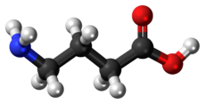 GABA molecule