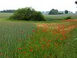 Landschaft nördlich von Crivitz