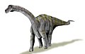 Rapetosaurus