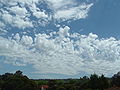 Altocumulus castellanus.