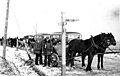 Transport etnických Němců z východního Polska, osídlení obce Neuteich (Nowy Staw, oblast Lodž), 30. březen 1940