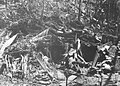 Japanese log and earth bunker near Point Cruz in November, 1942.