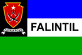 Flagge der F-FDTL (FALINTIL)