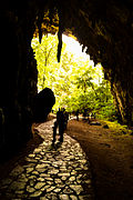 Interior de la cueva el Guácharo en el Parque nacional El Guácharo.