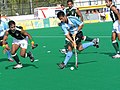 Field hockey, National winter sport (official)