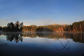 Suur Saarjärv oksakesega vees