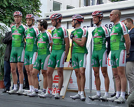 Team Wiesenhof