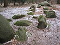 Großsteingrab am Stappenberg nahe Steinfeld