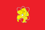 Flag of Zheleznogorsk, Russia (bear)