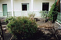 Endemic plants in the inner court of the museum.