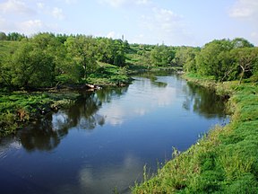 Nevėžis Kėdainių rajone